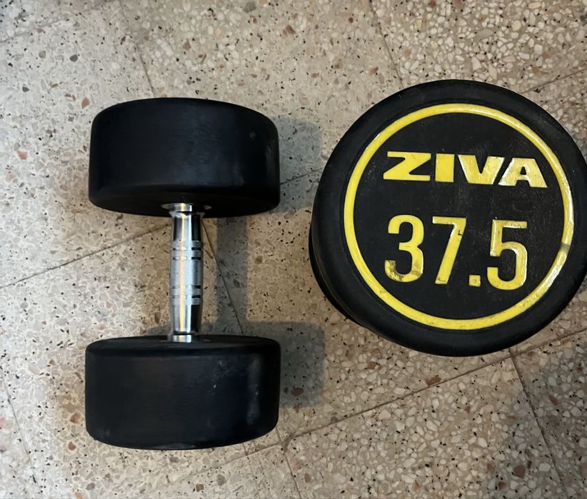 Halteres Ziva 37,5kg