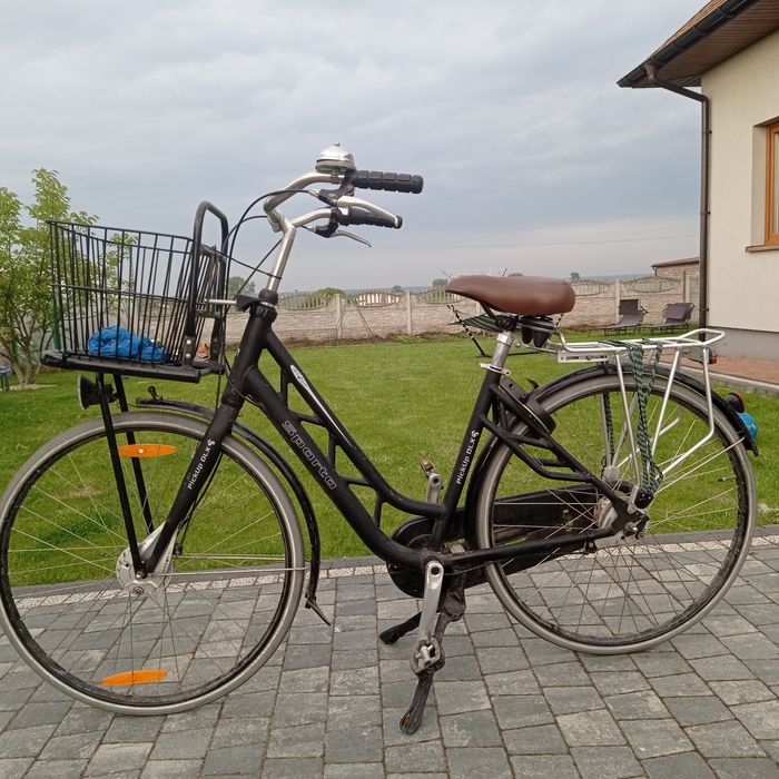 Rower damski holenderski