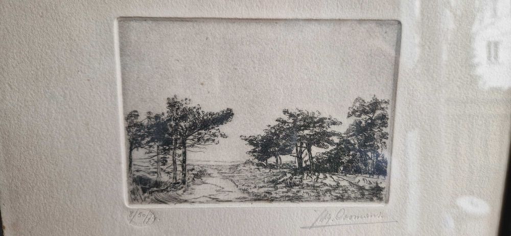 Litografia akwaforta pezjaż z drzewami aukcyjna sygnowana limitowana