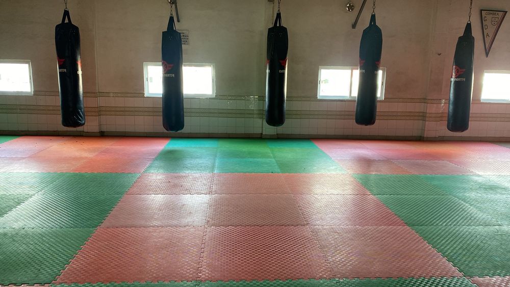 Tatamis em excelente estado/excelente densidade