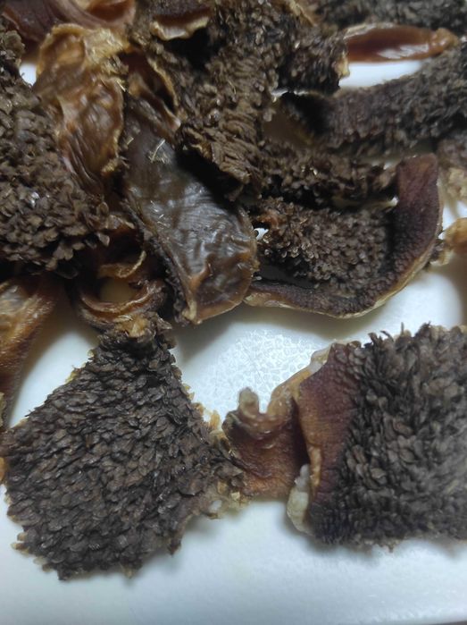 Смаколики для котиків і песиків