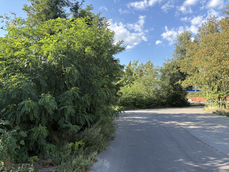 12Кв Кротова Красная линия!