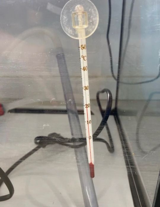 Aquário + acessórios