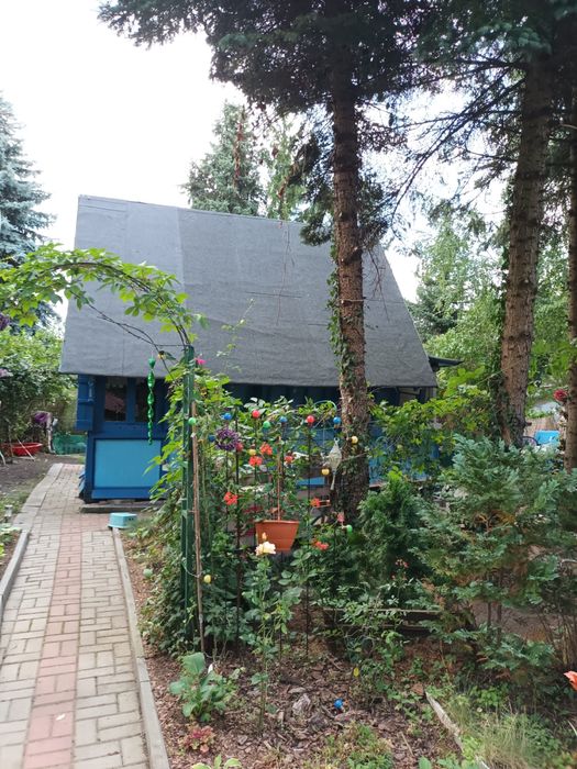 Dzialka ROD ul Ornecka - Widok 4