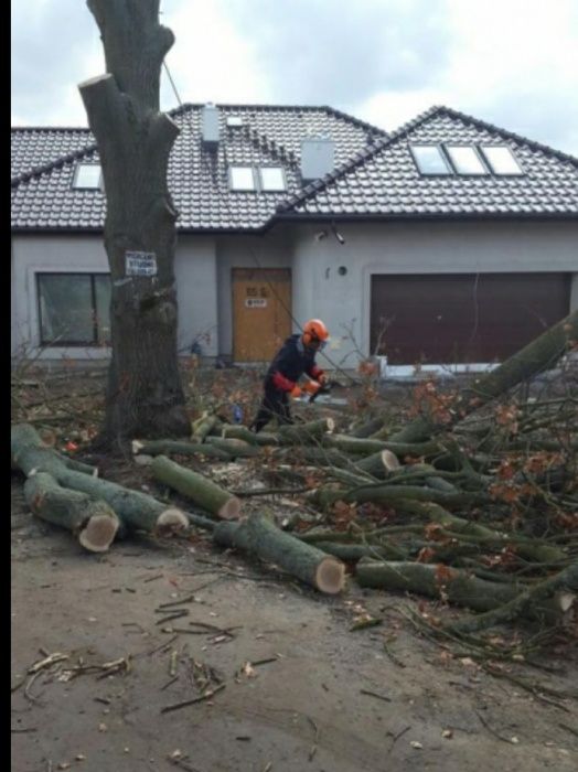 Usuwanie, wycinka drzew, Alpinistycznie, linowo, rębak, Super ceny