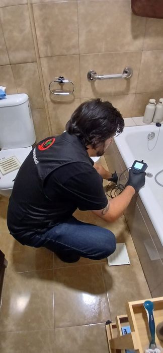 Controlo de Pragas e Desinfestacões 24h