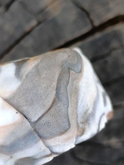 Годівничка напувалка для рептилій, плазунів, комах, хом'яків, мишей