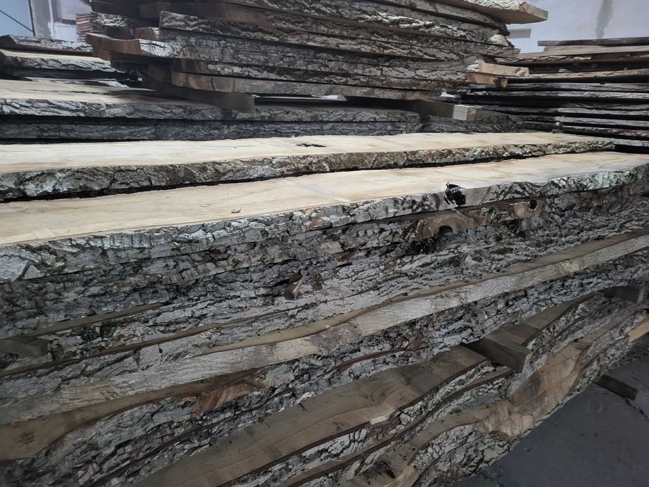 Orzech Włoski, Orzech Europejski, deski orzechowe, tarcica orzechowa