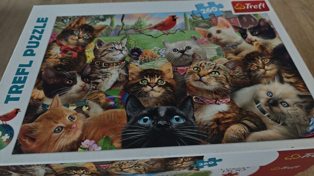 Puzzle Trefl 260 sztuk