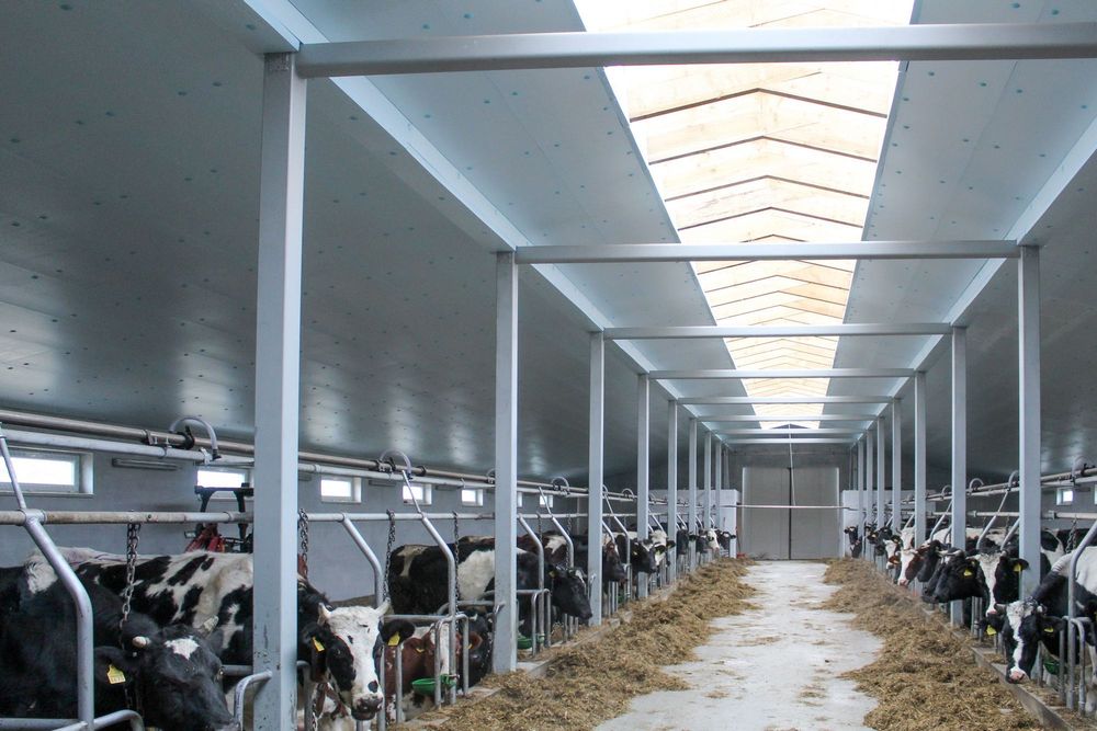 Izolacja Termiczna Ocieplenie do Obory Kurnika Hali Styrodur XPS AGRO