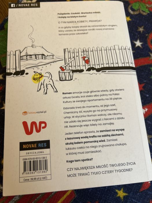 Romans Piotr C. Pokolenie Ikea