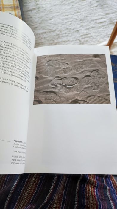 In the time of Ecological Disruption -IACCCA