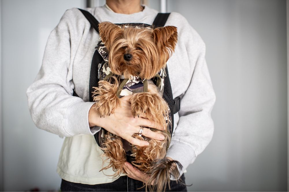 Сумка/рюкзак переноска для тварин