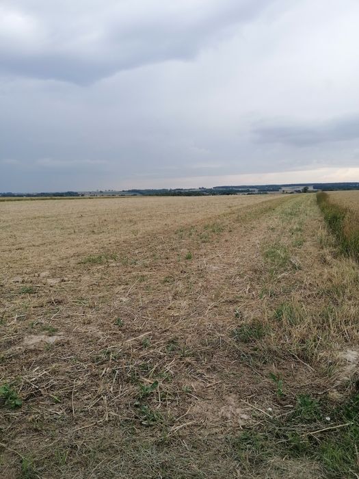 Pole orne 1,02 ha. pole na Krus, ziemia rolna Kiełczewice Dolne gmina Strzyżewice