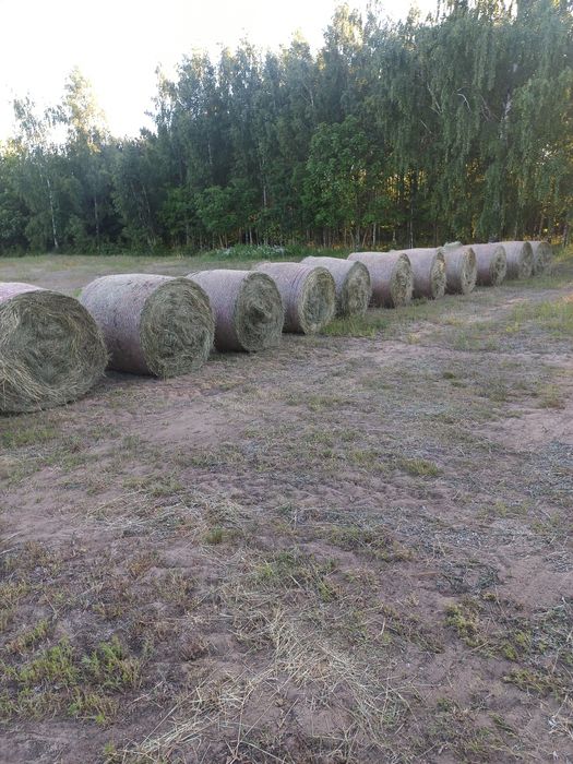 Sprzedam siano pierwszy pokos