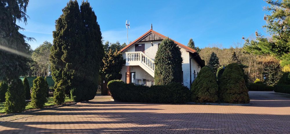 Pokoje  LAZUR -Wyspa Sobieszewska-nocleg Sobieszewo