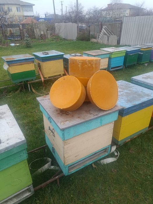 Бджолиний Віск 33кг