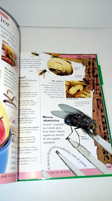 Primeira Enciclopédia da Natureza