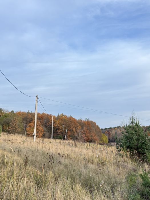 Тиша, панорама, природа - Ділянка навпроти Заповідника та озера‼️