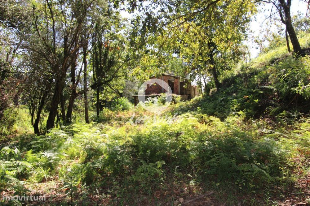 Quintinha com 32.270 m2 em Amares, Braga