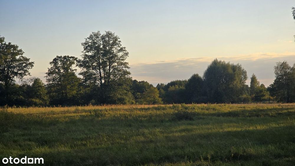 Doskonała propozycja dla Inwestorów