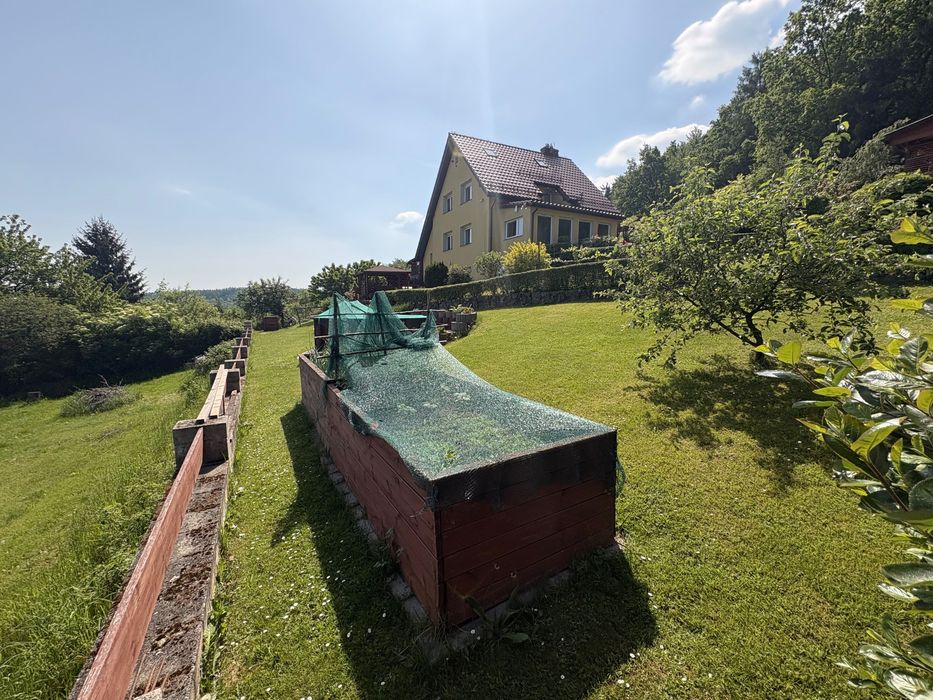 Dom z panoramicznym widokiem przy lesie