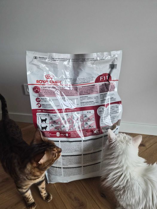 Сухий корм для домашніх та вуличних кішок Royal Canin Fit 10 кг