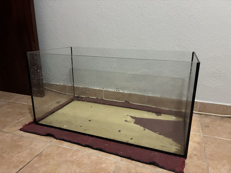 Aquário de aquariofilia