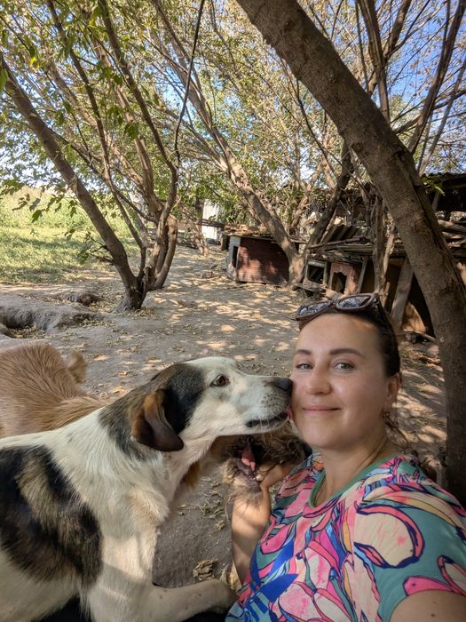 Песик Малюк шукає сім'ю