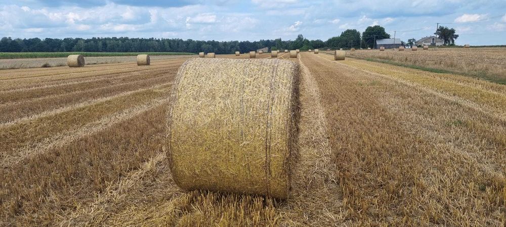 Siatka prasy, bel, balotów, słomy 125x3000 RAPID