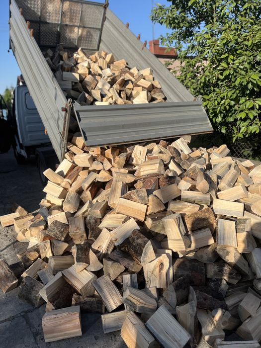Drewno opałowe / kominkowe Transport Gratis