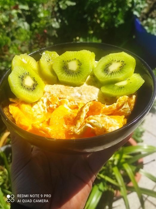 ovos do campo (quase biológicos)