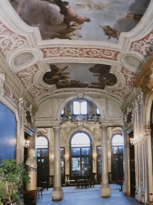 Veneza livro sobre os palacios venezianos