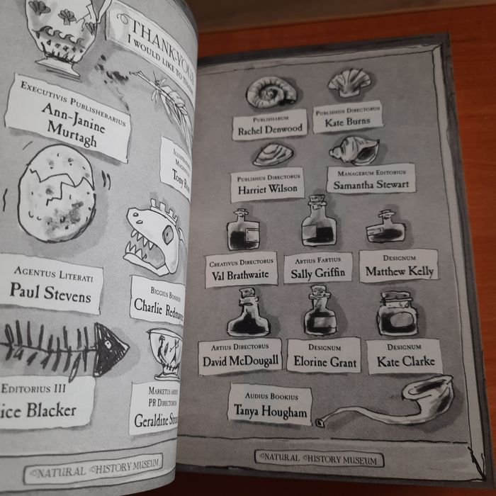 The Ice Monster David Walliams Ледяной монстр книга на английском