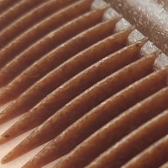 Sanel Grzebień eco Ambasador 100% drewna