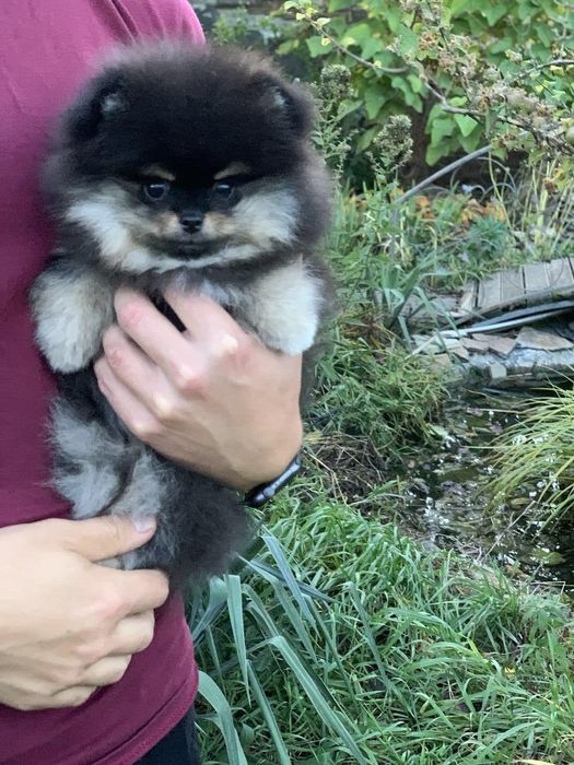 Неймовірний малюк