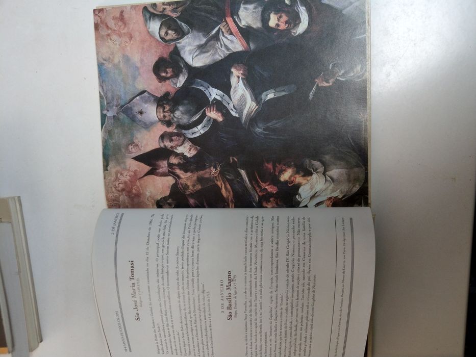 Livro Santos de todos os dias