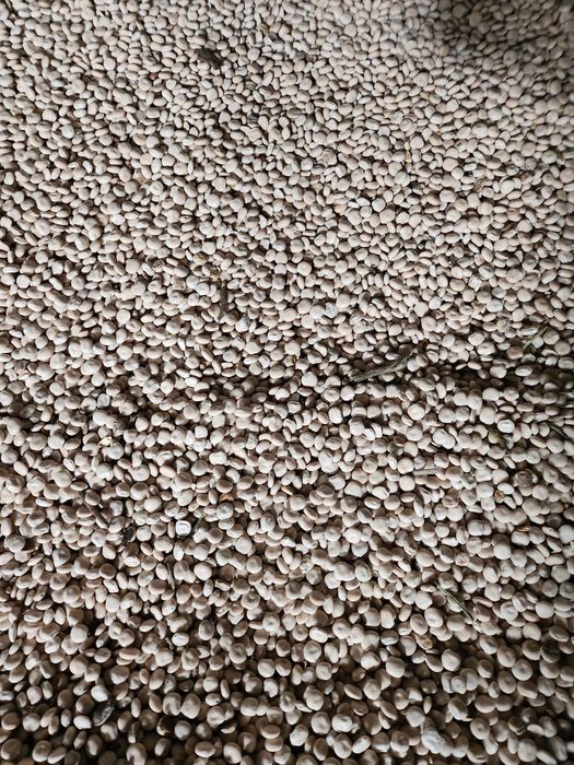 Lubin Butan  Zachodniopomorskie