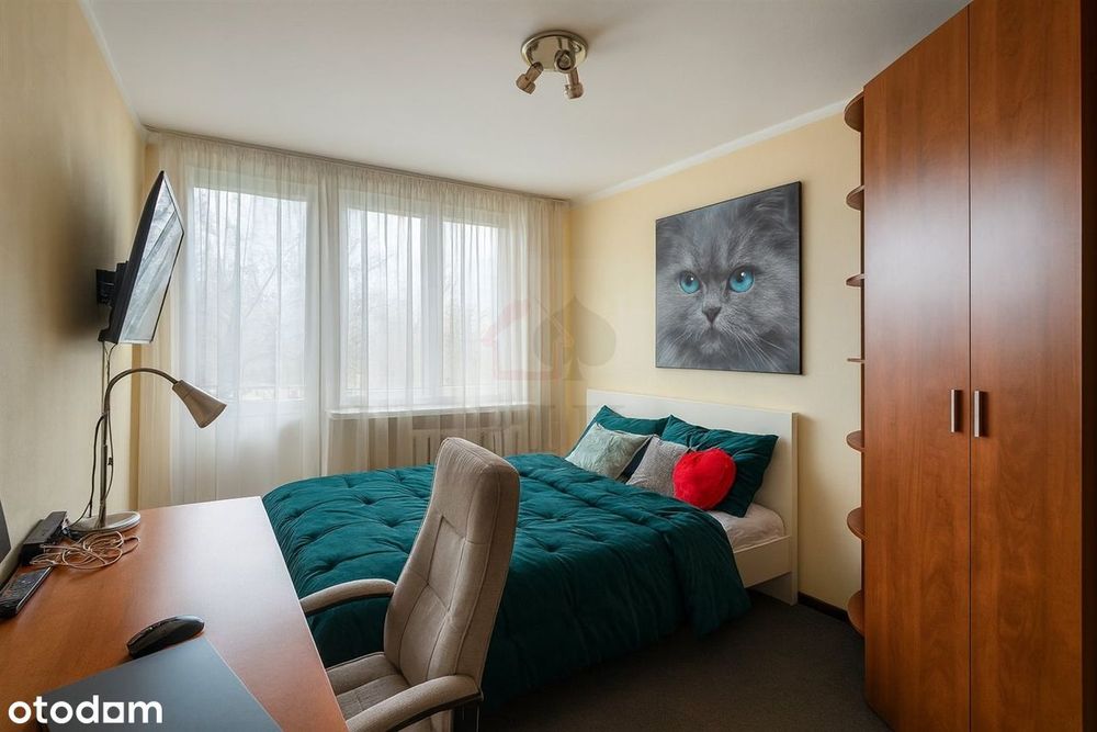 Przytulne 3pokojowe, Koszutka ul Grabowa, po termomodernizacji - View 2
