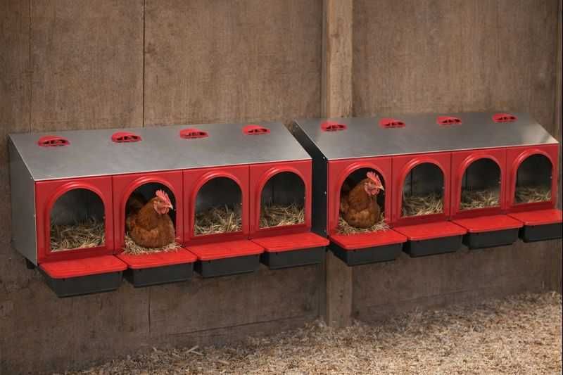 Gniazdo/Gniazda dla kur automatyczne poczwórne