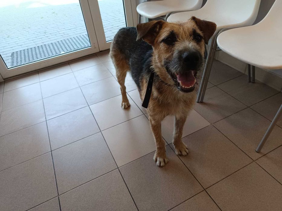 Siedlce, okolice, czyja zguba?