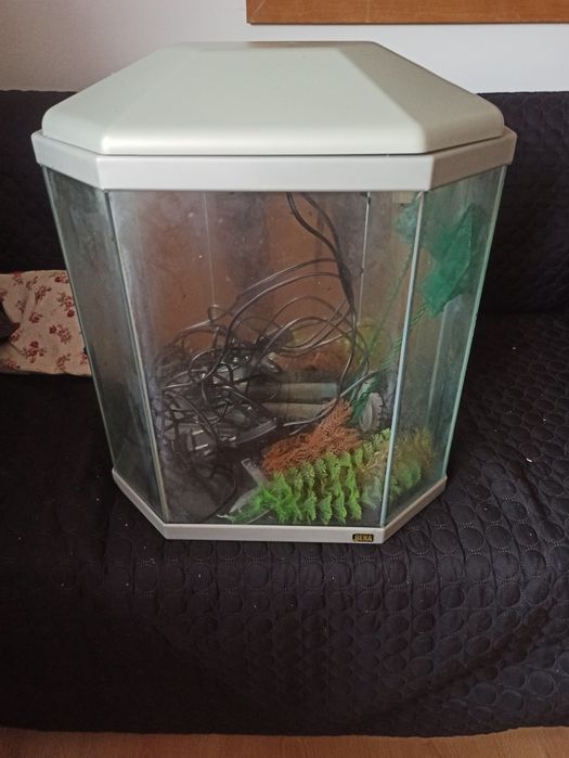 Aquário com acessórios