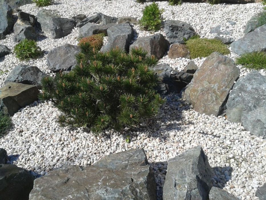 kamień ogrodowy, ozdobny grys dolomitowy jasno beżowo