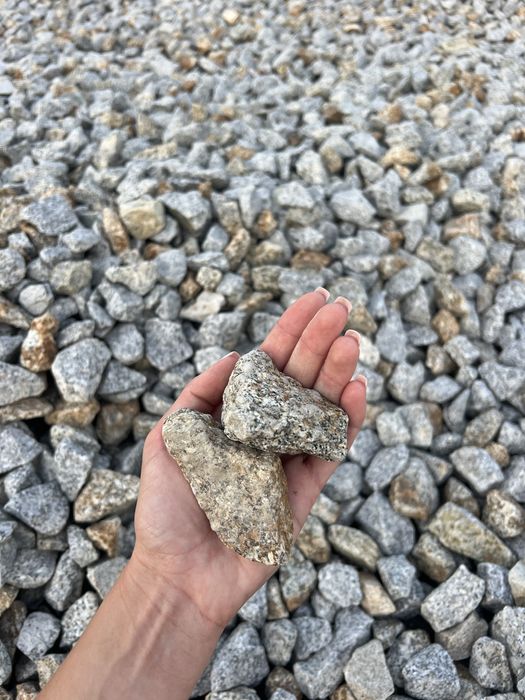 Kamienie ozdobne dalmatyńczyk szaro-złocisty