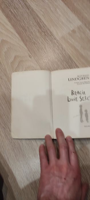 Bracia lwie serce