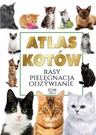Atlas kotów. Arti