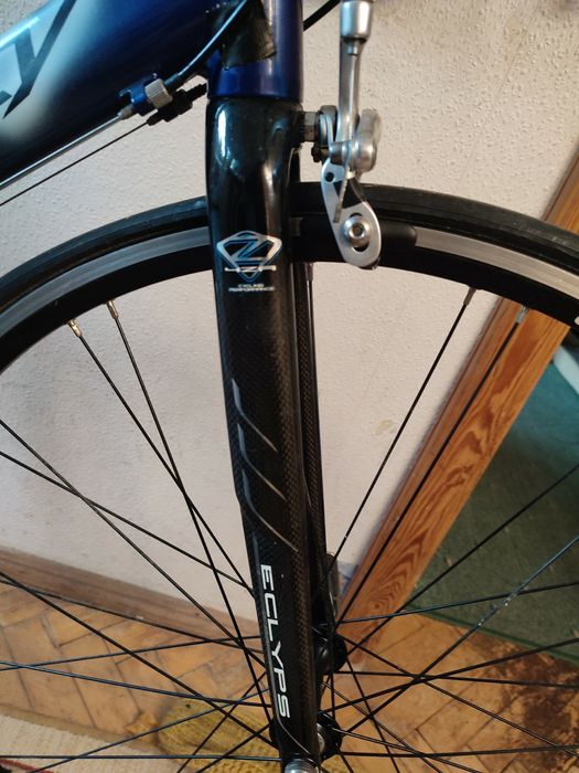 Rower Ridley Icarus, rama 58, osprzęt Campagnolo