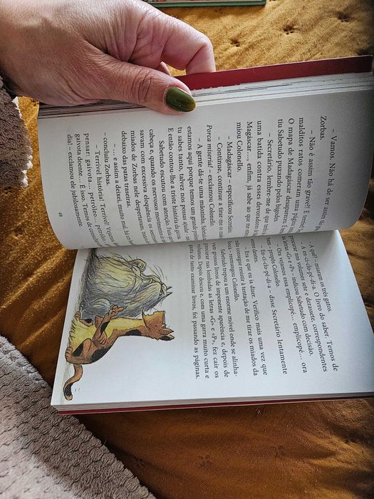 Livro: História de uma gaivota e do gato que a ensinou a voar (Luís Sepúlveda)