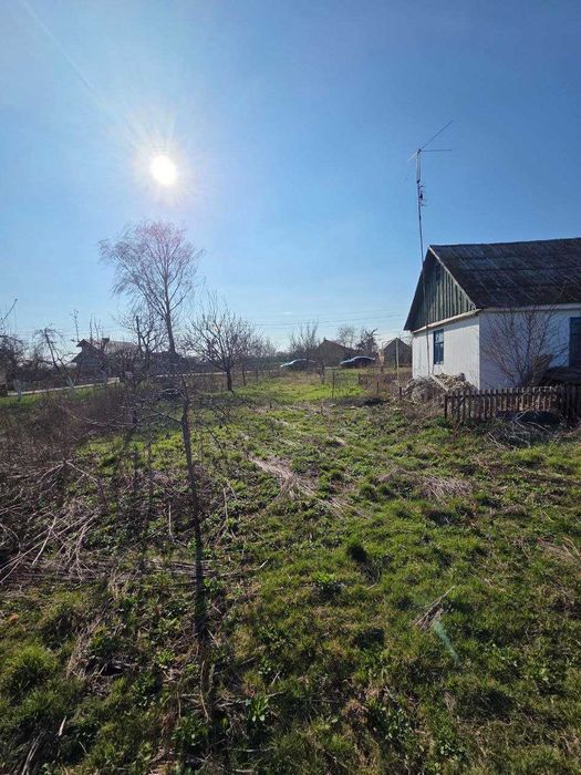 Продається земельна ділянка 50 соток у с. Голишів!