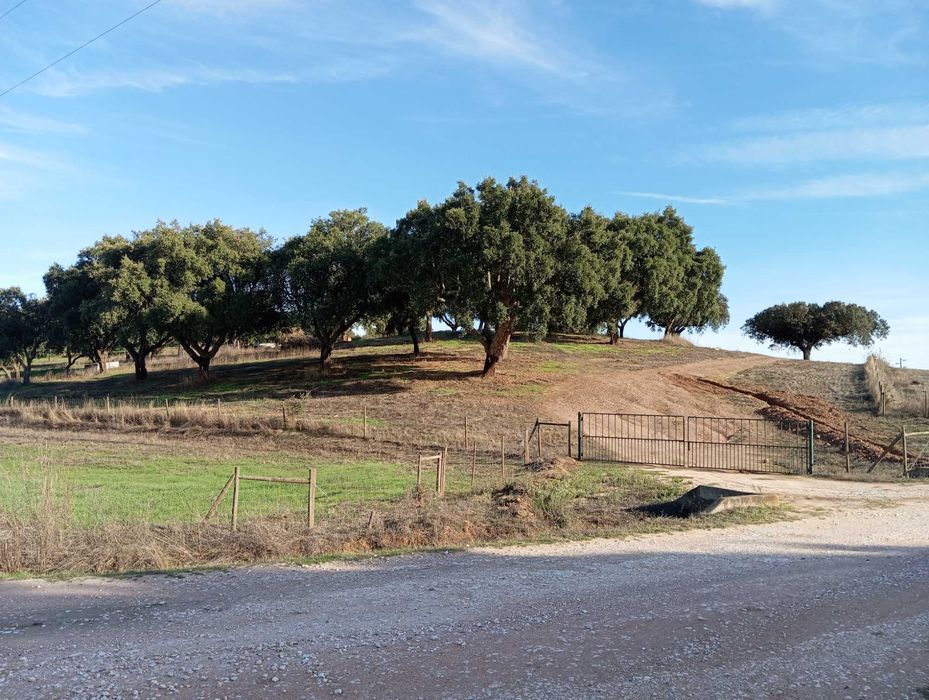 Terreno a 10 km de Estremoz